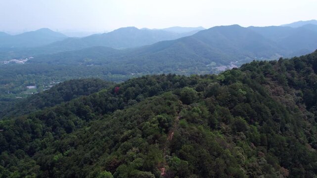 Layered forest mountains with a narrow path winding through dense greenery under a hazy clear sky, a tranquil natural landscape.