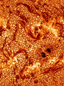 Detailed solar surface potrait showing sunspots and granulation for scientific documentaries, educational backgrounds, and astronomy publications.
