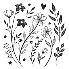 Fototapeta premium Set of hand-drawn flowers leaves and botanical elements