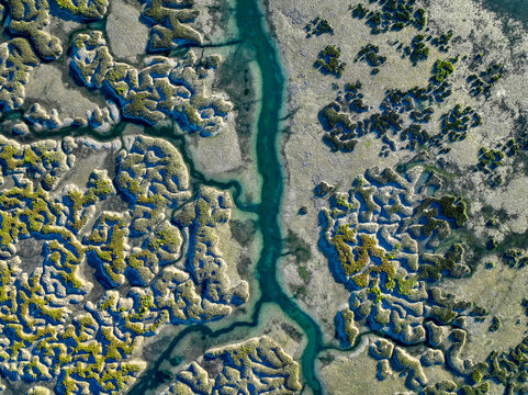 Aerial view of the intricate tidal channels and salt marshes of the Ria Formosa in Faro District, Portugal.