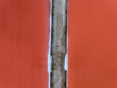 Aerial view of a person walking along a gravel path between vibrant red salt pans in Faro District, Portugal.