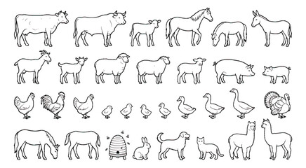 Fototapeta premium Hand drawn farm animals vector set, minimalist line art livestock collection, rustic barnyard animal icons for organic farming branding