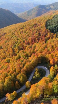 Aerial view of truck driving on an autumn mountain road. Vertical video