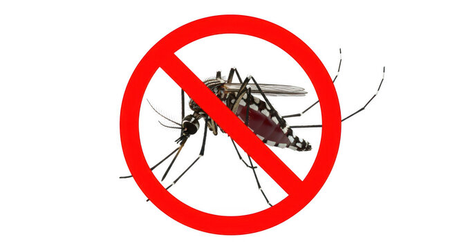 Mosquito prohibition symbol graphic