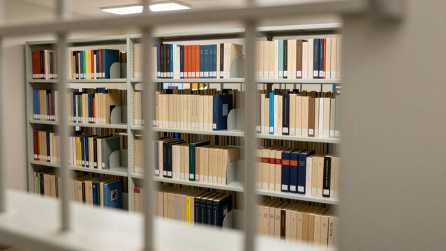 Prison library bookshelves viewed through secure metal bars in an institutional interior