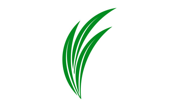 green leaf grass vector