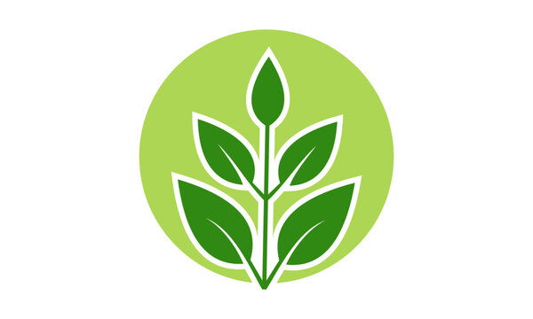 leaf in the circle logo