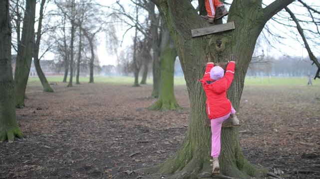 Two little beautiful girls in jackets climb tree