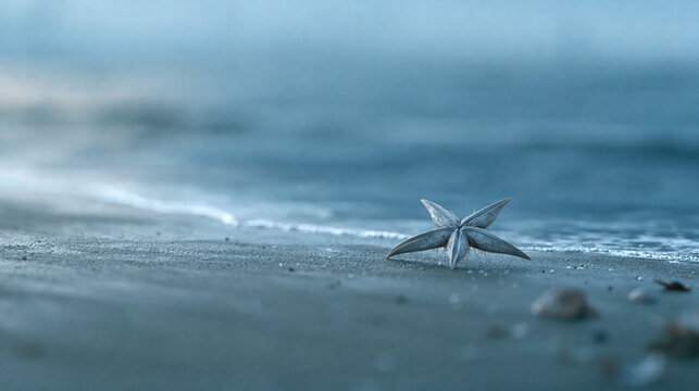 A single seashell on a foggy beach