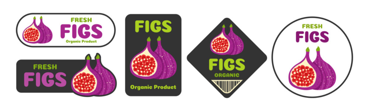 Fruit fig label set. Trendy Colorful retro badges with organic fresh text for supermarket, farm shop and grocery packaging. Cartoon flat barcode sticker design. Vector illustration collection