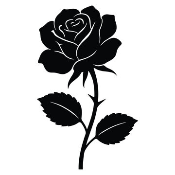 A blooming rose with stem and leaves is depicted as a black silhouette