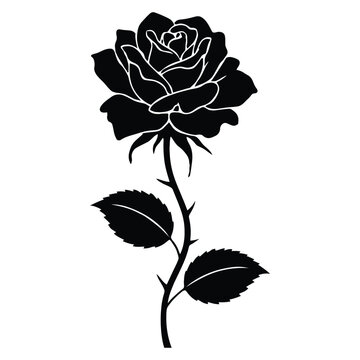 A single rose stem with leaves is depicted as a black silhouette