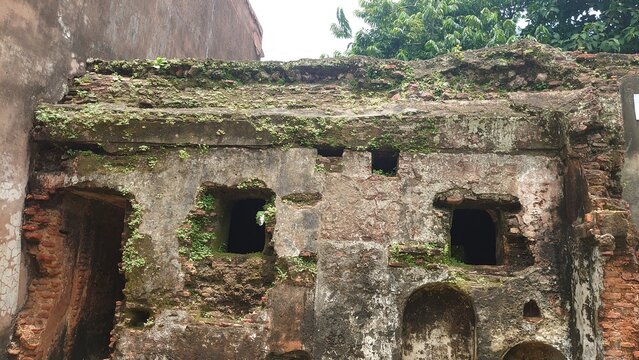 Close View of a Moss Covered Weathered Wall in Panam Nagar, Sonargaon, Bangladesh