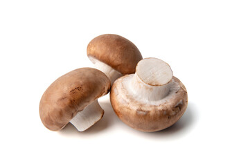 Fresh champignon mushrooms isolated on white background. © Yuliia777 Art