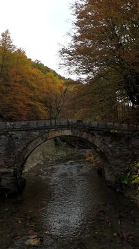 Old stone arch bridge over a clear mountain river surrounded by vibrant autumn foliage. Vertical video