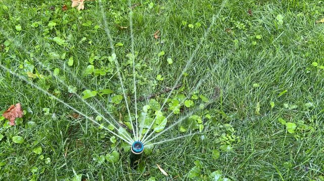 irrigation. A rotating lawn sprinkler watering green grass in a sunny park or garden