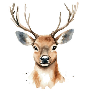 Christmas Rudolph, watercolor clipart vector, isolated on a white background.