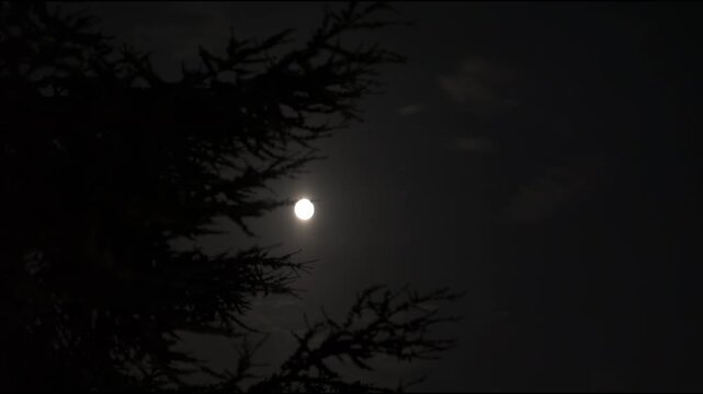 A glowing full moon in the dark and cloudy night