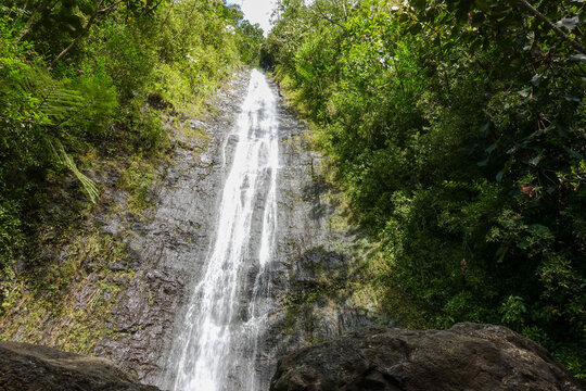 Manoa Falls plunges down a steep mossy rock face framed by tree ferns and dense rainforest foliage, seen from the boulders at its base on O'ahu.