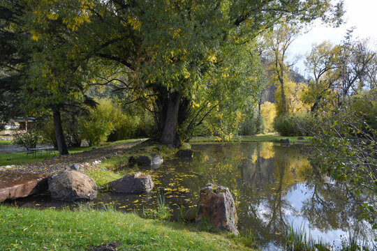 Tranquil Pond Surrounded by Vibrant Trees Showcasing Autumn's Beautiful Colors