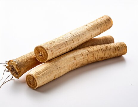 burdock root bundle on white background long beige cylindrical roots with rough skin