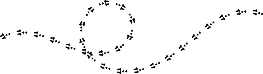 Obraz premium Rabbit footprint icon, easter bunny paw foot trail