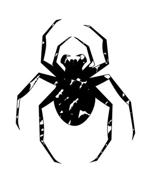Spider halloween icon, spooky cartoon black widow spider isolated