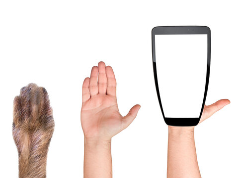 Closeup evolution of hand from animal to smartphone or mobile isolated on white. Concept of how technology changed the human kind