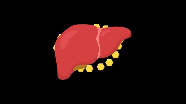 Animation of carbohydrate molecules entering the liver