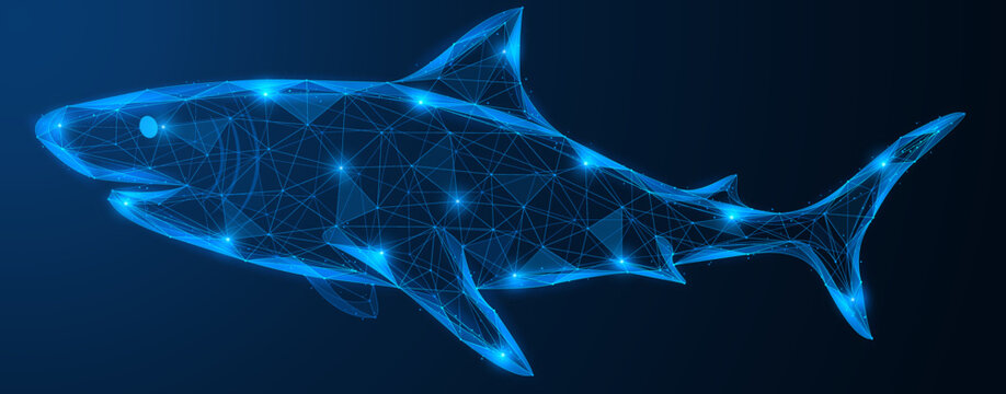 A futuristic shark. The contours of an animal consist of many points connected by lines. The concept symbolizes the unification of nature and modern technology.