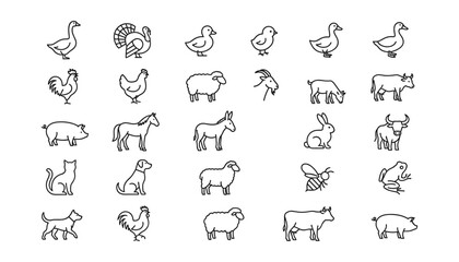 Fototapeta premium Farm Animals and Rural Livestock Line Icon Set Featuring Poultry, Cattle, Sheep, Horse, Pig, and Domestic Pets for Countryside Agriculture Designs