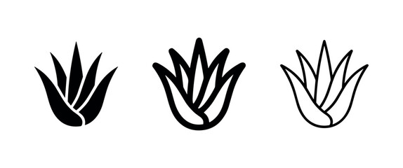 Fototapeta premium Succulent plant icon set. Aloe vera, natural, and botanical symbols in various line styles.