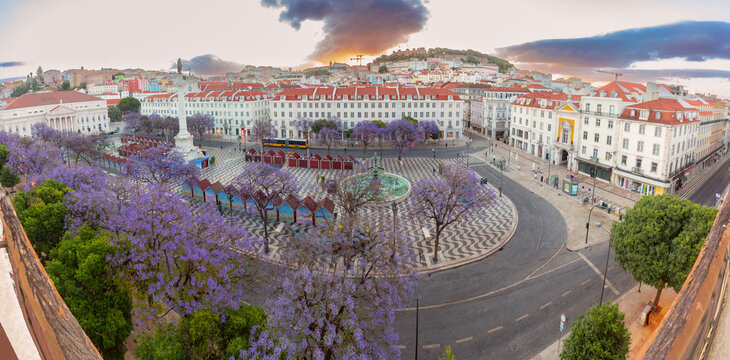 Rossio Square with Jacaranda Trees at Sunrise in Lisbon, Portugal
