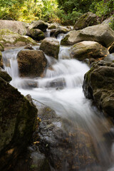 Naklejka premium Clear flowing water stream through rocky mountain terrain, surrounded by green vegetation