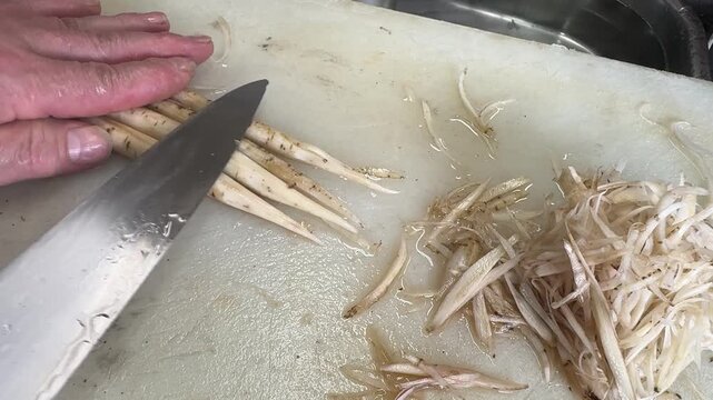 Japanese chef shaves burdock root gobo into thin sasagaki strips with knife