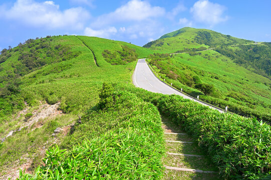 伊豆半島の伊豆山稜線歩道　草原の尾根　古稀山より達磨山を望む
