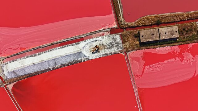 Workers use machines to gather salt on bright red flatlands where salt production takes place. The scene shows water reflecting the color of the ground.