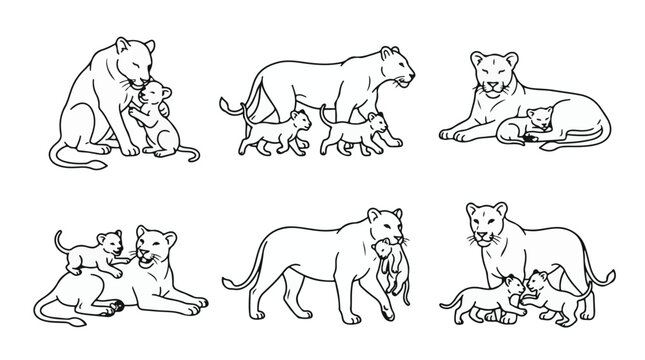 Lioness and Cub Vector Line Art Set of Mother Lion and Baby Wild Animal Icons
