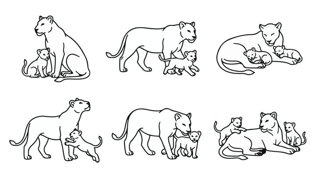 Lioness and Cub Vector Line Art Set of Mother Lion and Baby Wild Animal Icons
