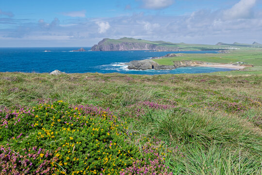 K&uuml;stenlandschaft Dingle-Halbinsel