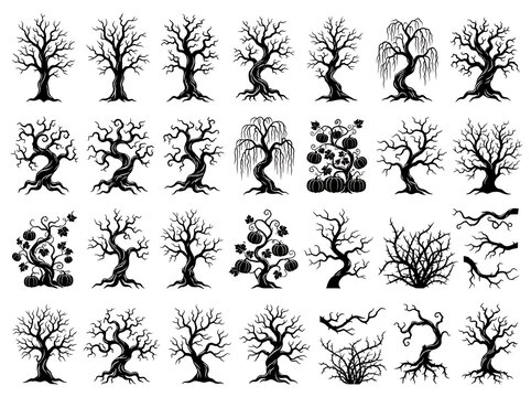 Collection of black silhouette trees with bare branches and pumpkins on a white background