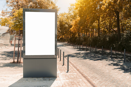 Large blank vertical street display offers a realistic promotional template beside an empty paved road and cycle lane with generous copy space under sunlit autumn trees