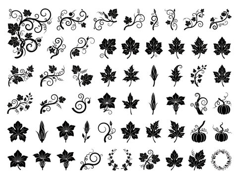 Collection of black floral and leaf silhouettes on a white background for design elements