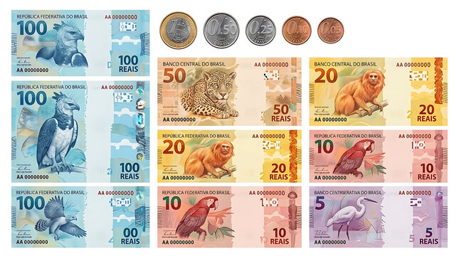 Collection of Brazilian Paper Currency and Metallic Coins