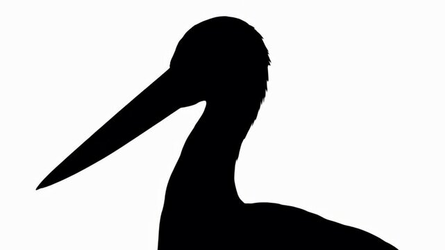 black silhouette of a standing stork bird with a long beak on a white background, natural wildlife element