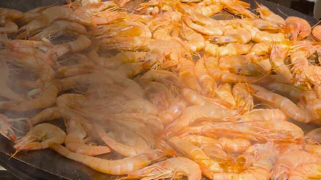 Prawns frying on a large paella pan at a traditional Spanish paella competition, 4K slow motion close up