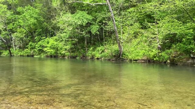 Upper Current River in the Forest of the Ozarks of Missouri