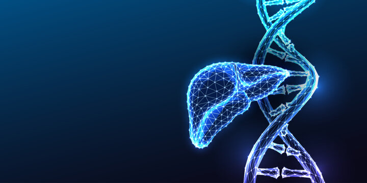 DNA Double Helix Liver Genetics Hepatitis Cirrhosis Hereditary Disease Glowing Blue Polygonal Vector