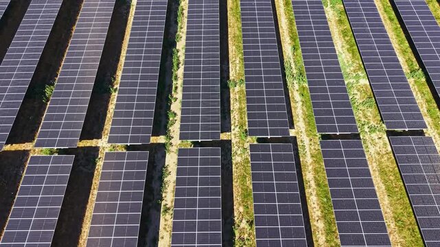 A solar panel field covers a wide area with many rows of solar panels. The panels are aligned neatly and face the sun. The setting shows green grass and dirt paths between the panels.