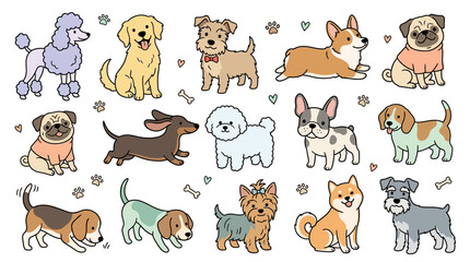 Fototapeta premium Cute Dogs Set Hand Drawn Vector Illustration of Puppy Breeds